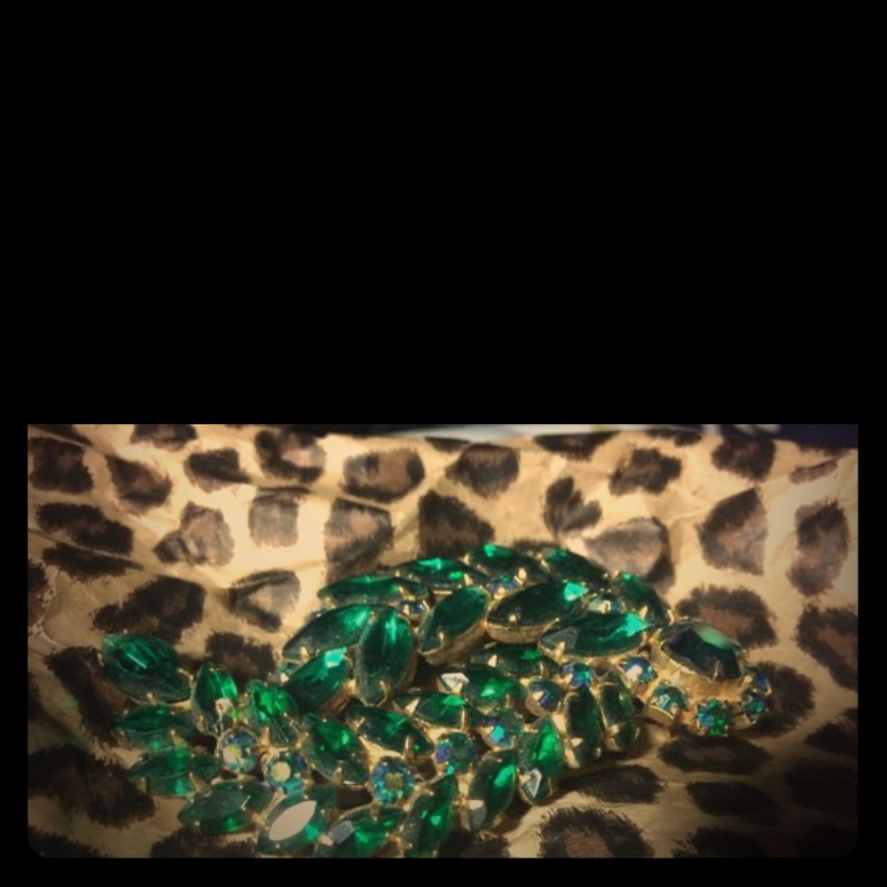 PLZ READ!Idea for new closet. what do you think ?